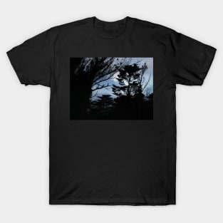 Mt Davidson Looking North T-Shirt